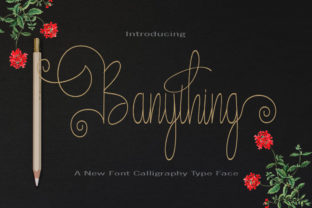 Banything: A Script Handwritten Font Built for Campaign Clarity