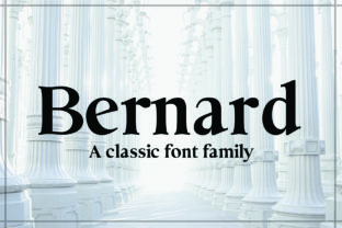 Bernard: A Serious Serif for Real Design Work