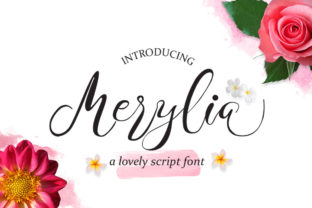 Make Your Campaign Visuals Stronger with Merylia Handwritten Font