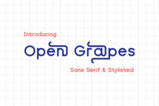 Open Grapes: A Modern Sans Serif Font for Handmade Products
