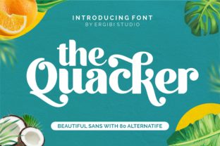 Quacker Sans Serif Font: A Small Business Brand Upgrade Story