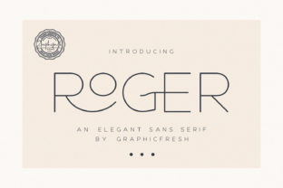 Roger Is the Sans Serif Font That Finally Made My Brand Feel Polished