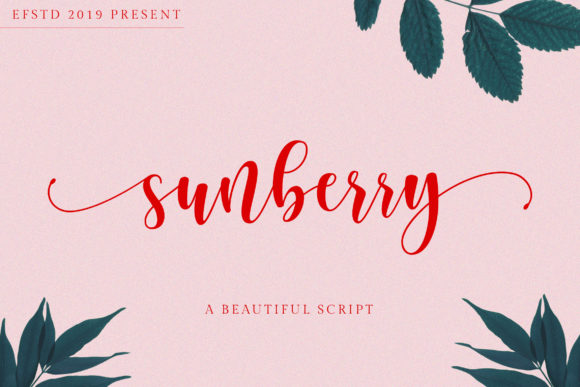 Sunberry: A Handwritten Typeface Built for Modern Web Design