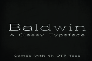Testing Baldwin: A Slab Serif That Earned Its Place in My Web Project